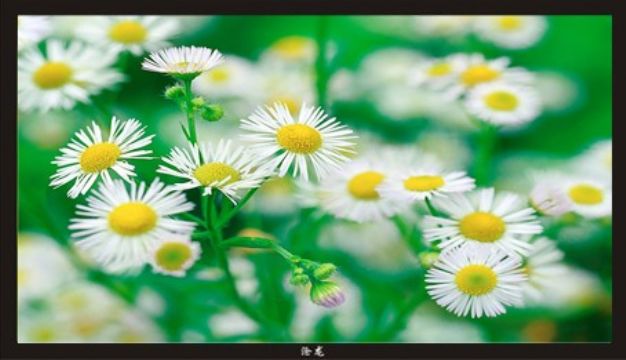 供应46寸液晶监视器